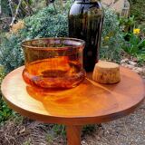 Glass dish tortoiseshells