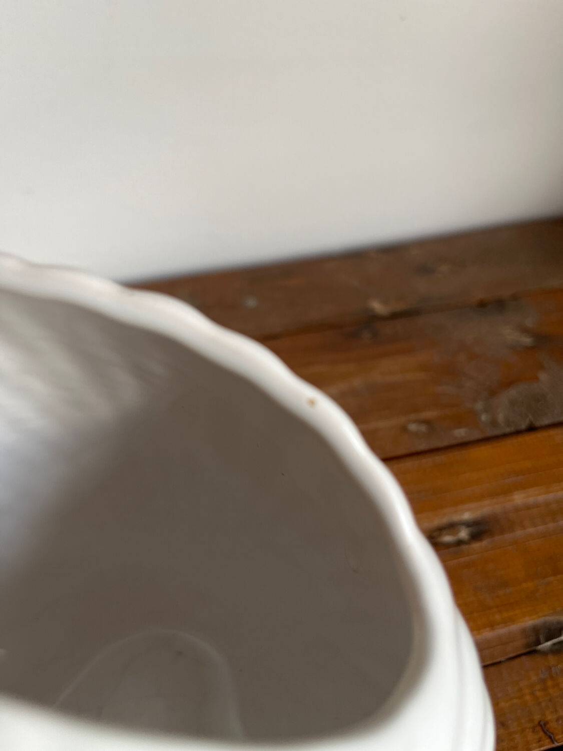 Vase coquillage