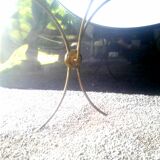 1900 garden table and its slate slab