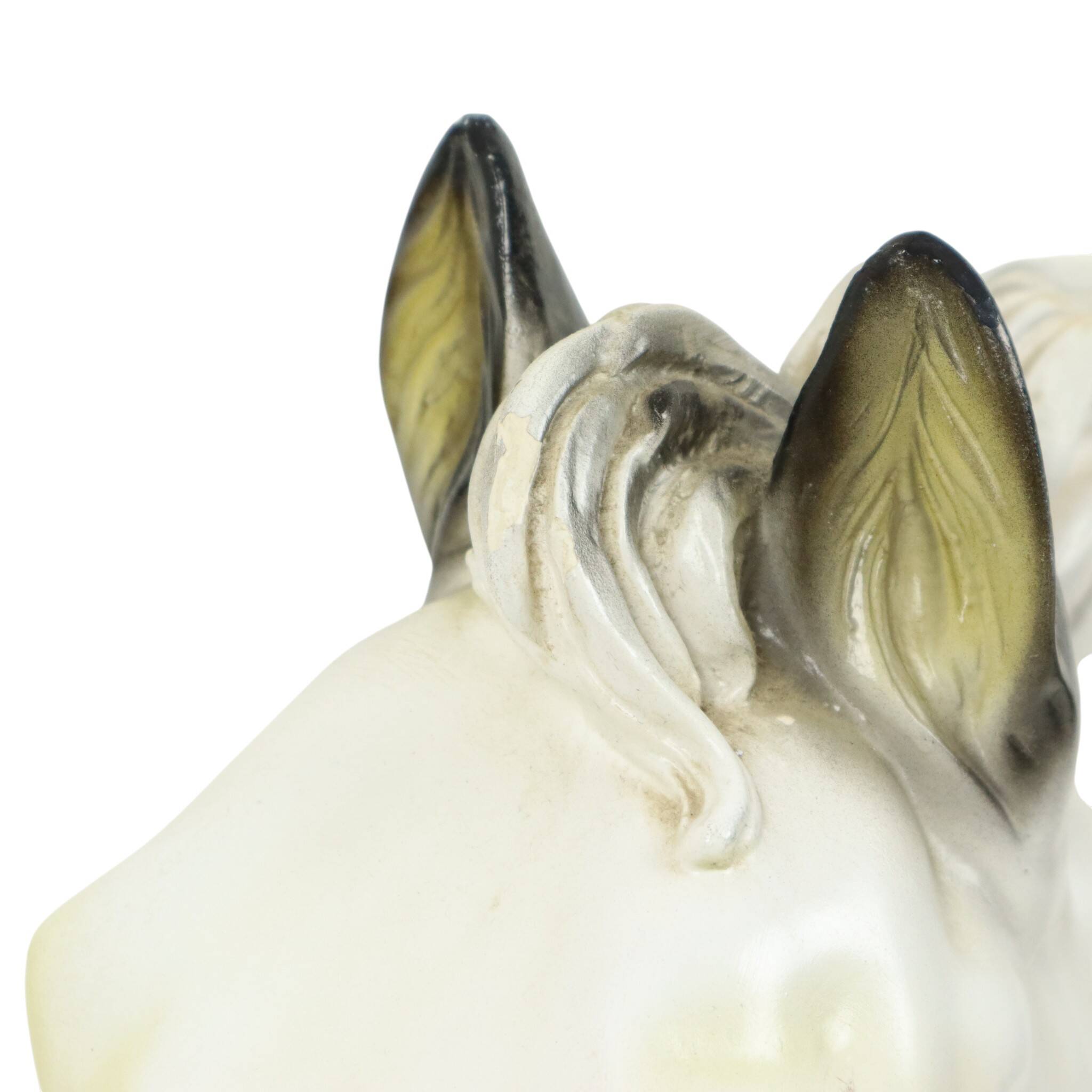 Large Classical Bust Parthenon Horse Greek Style Plaster 39cm