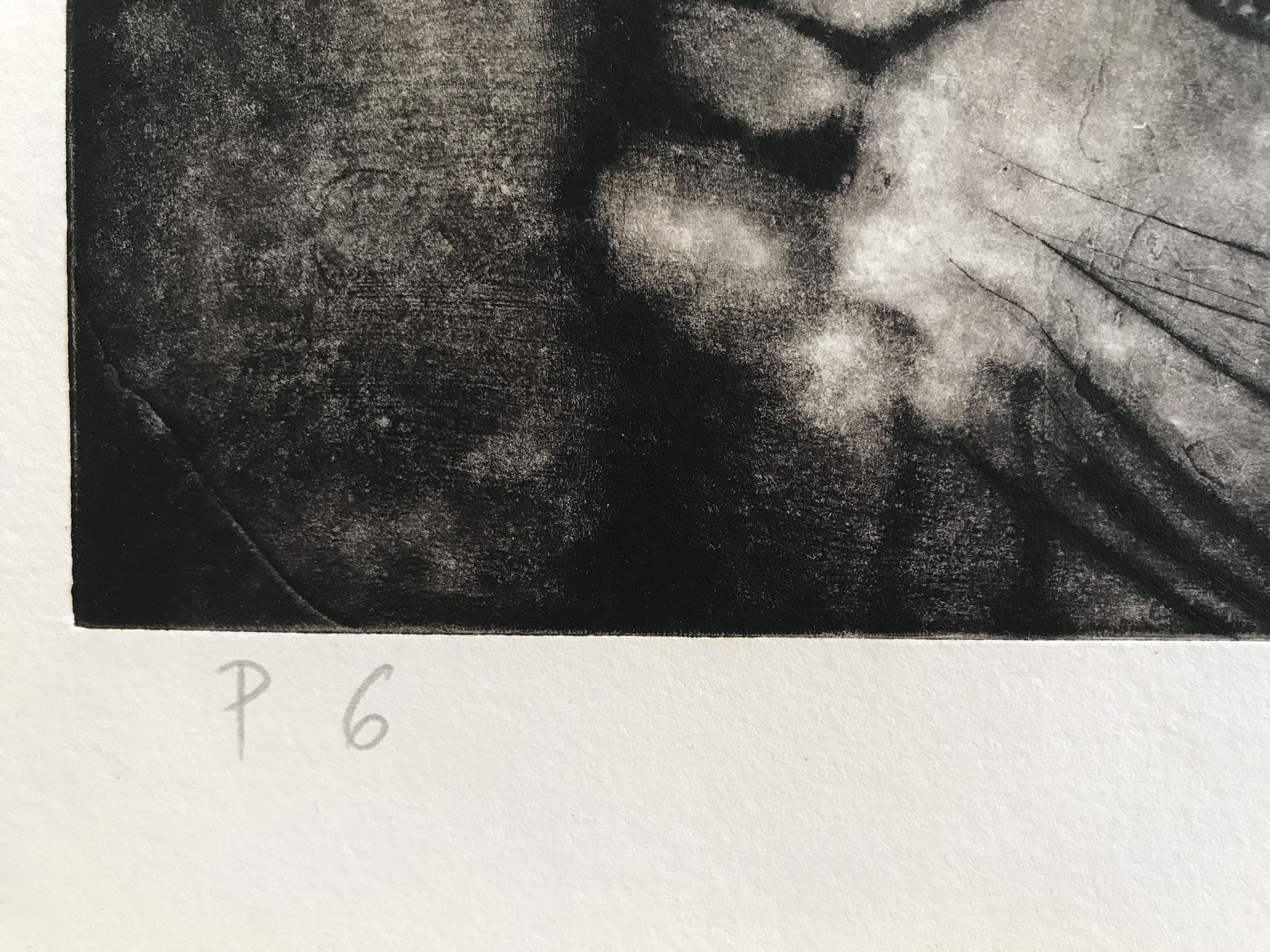 Gravure en noir sur velin fort signée de mamer, sans titre, 1970