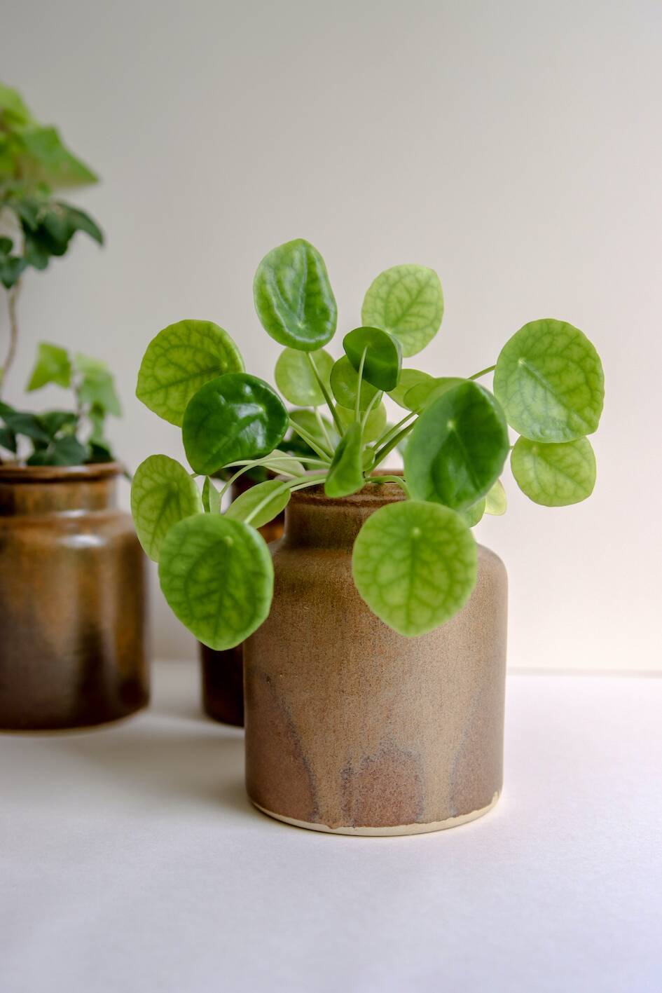 Old mustard pots