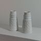 Paire de vases en porcelaine vintage de biscuits par KPM Bavaria