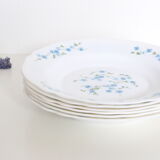 Set of 6 hollow plates Arcopal pattern Veronica