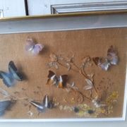 Cadre vitrine de Papillons et scarabées naturalisés Entomologie
