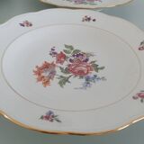 Set of 5 Limoges enameled porcelain plates