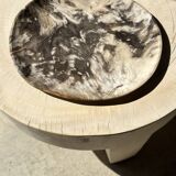 Very large empty pocket or dish in petrified wood
