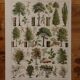 Original lithographs on trees