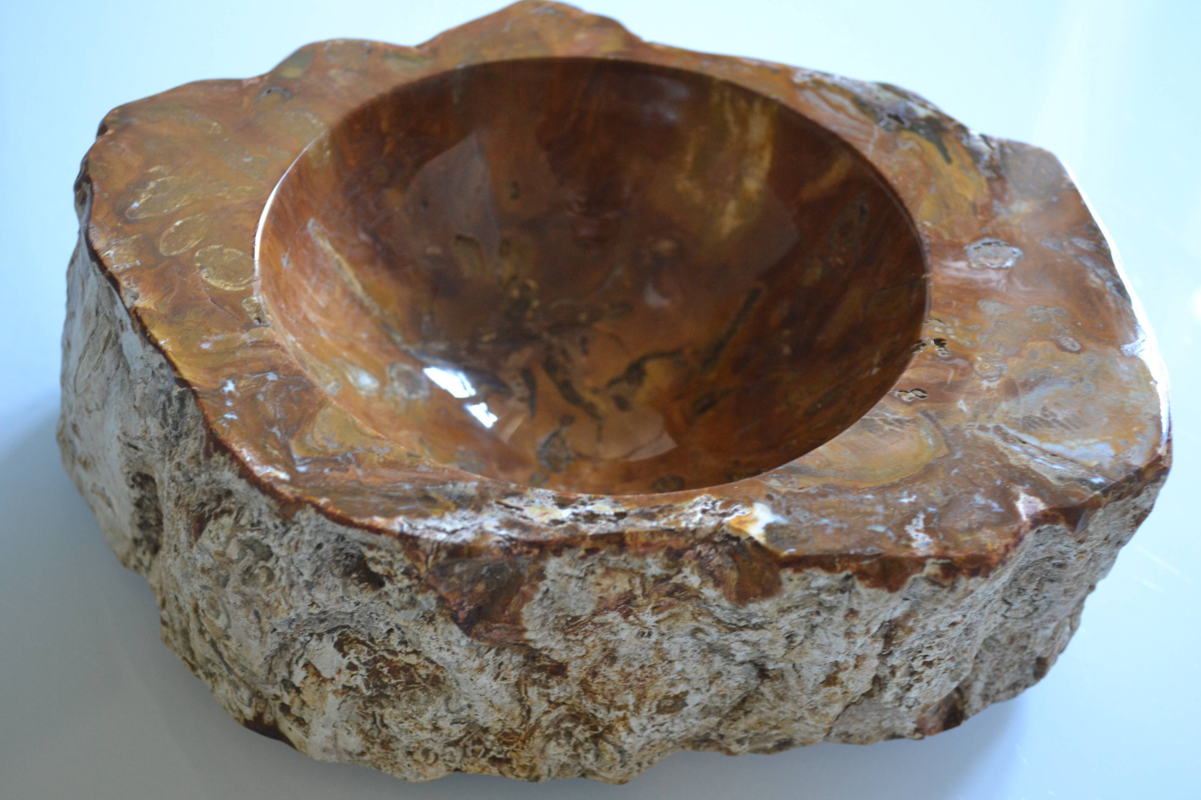 Empty pocket or ashtray in fossilized wood