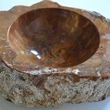 Empty pocket or ashtray in fossilized wood