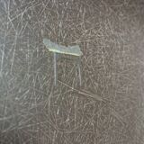 Charles & Ray Eames "La Fonda" Brown Fiberglass Chairs For Herman Miller