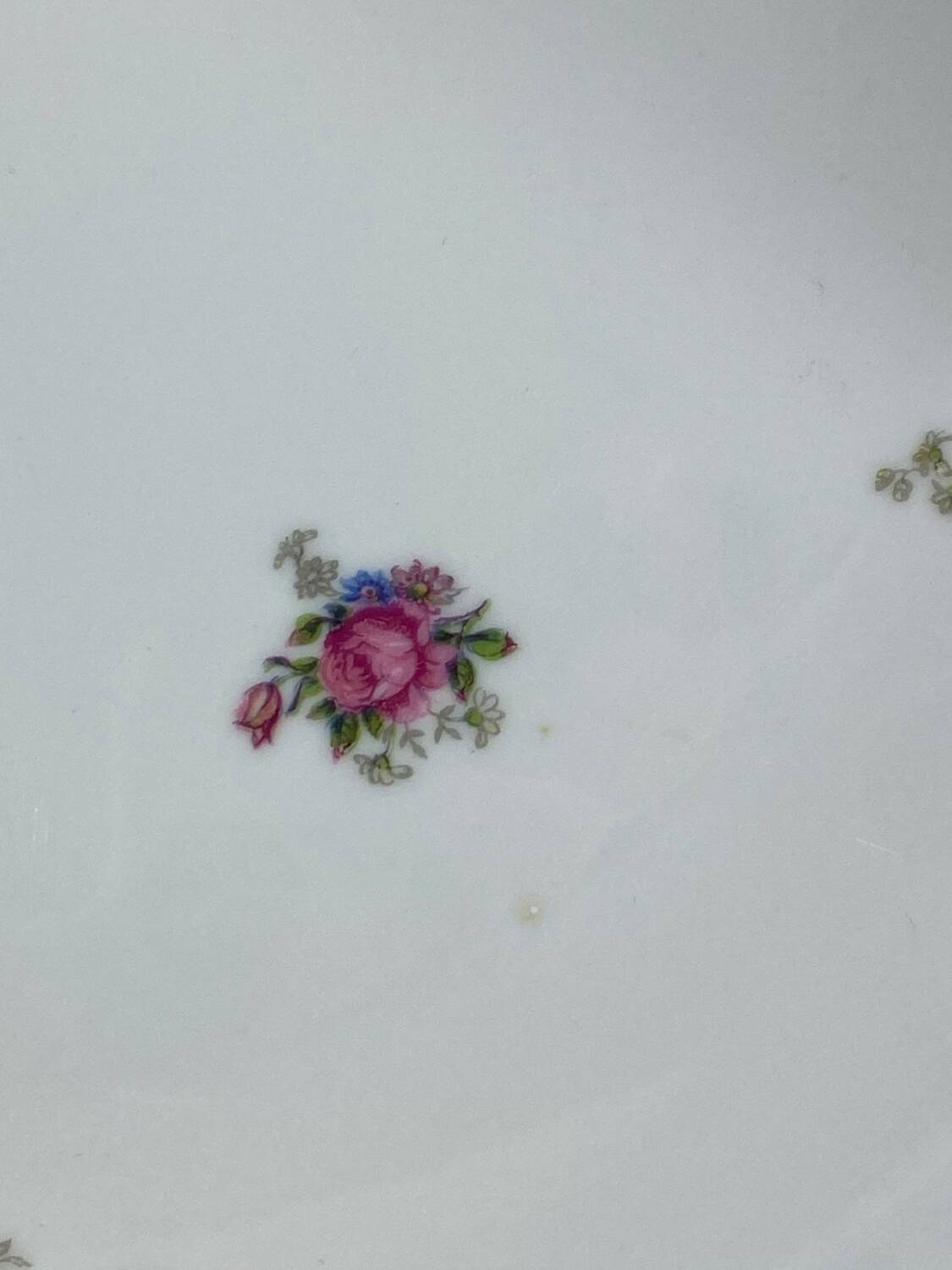 Limoges porcelain dishes