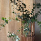 Rattan plant holder
