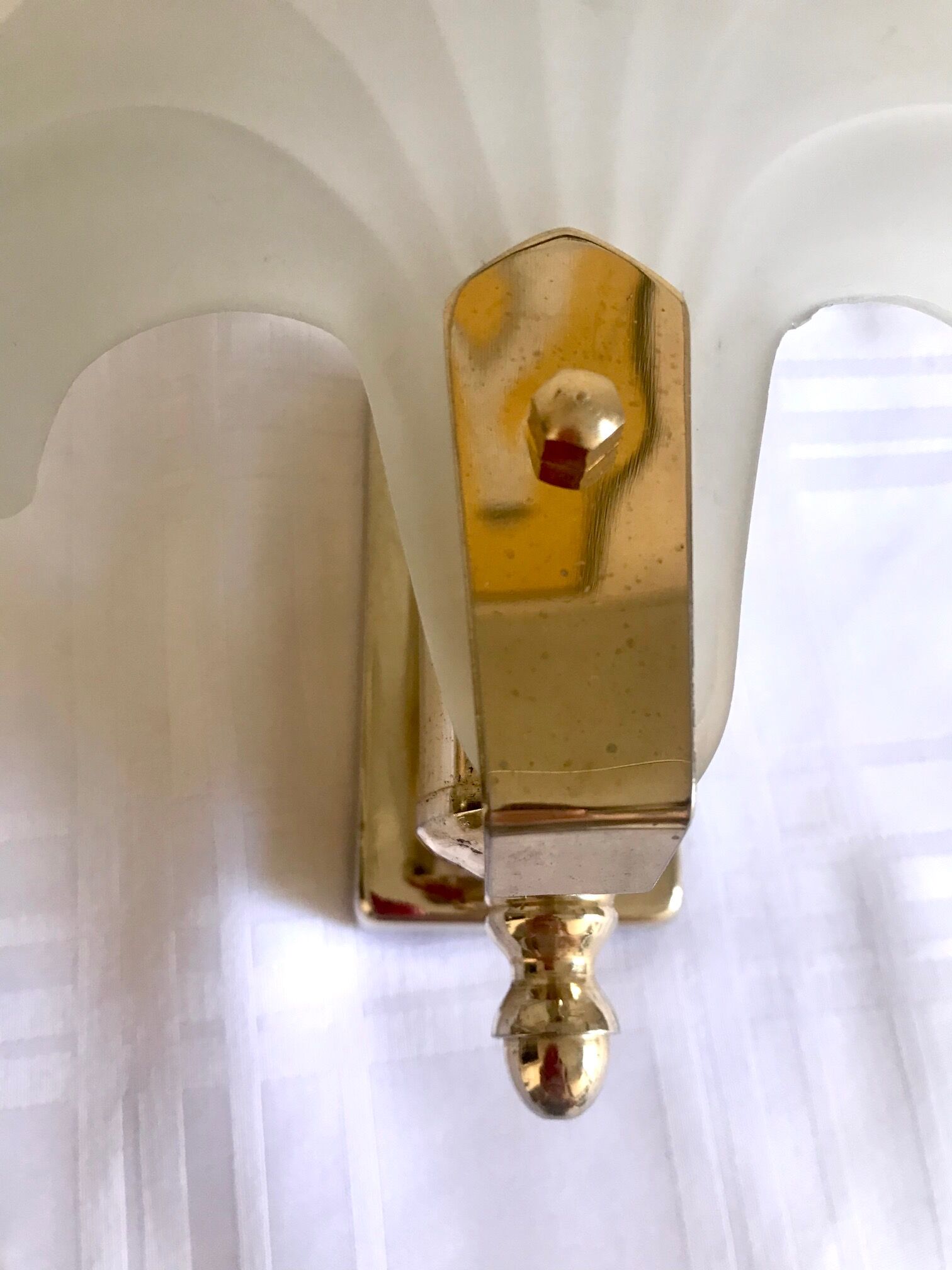 Pair of shell sconces