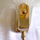 Pair of shell sconces