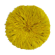 Juju hat yellow