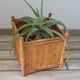 Porte plante