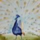 Decorative Majolic Plate HB Choisy the King Peacock Decoration