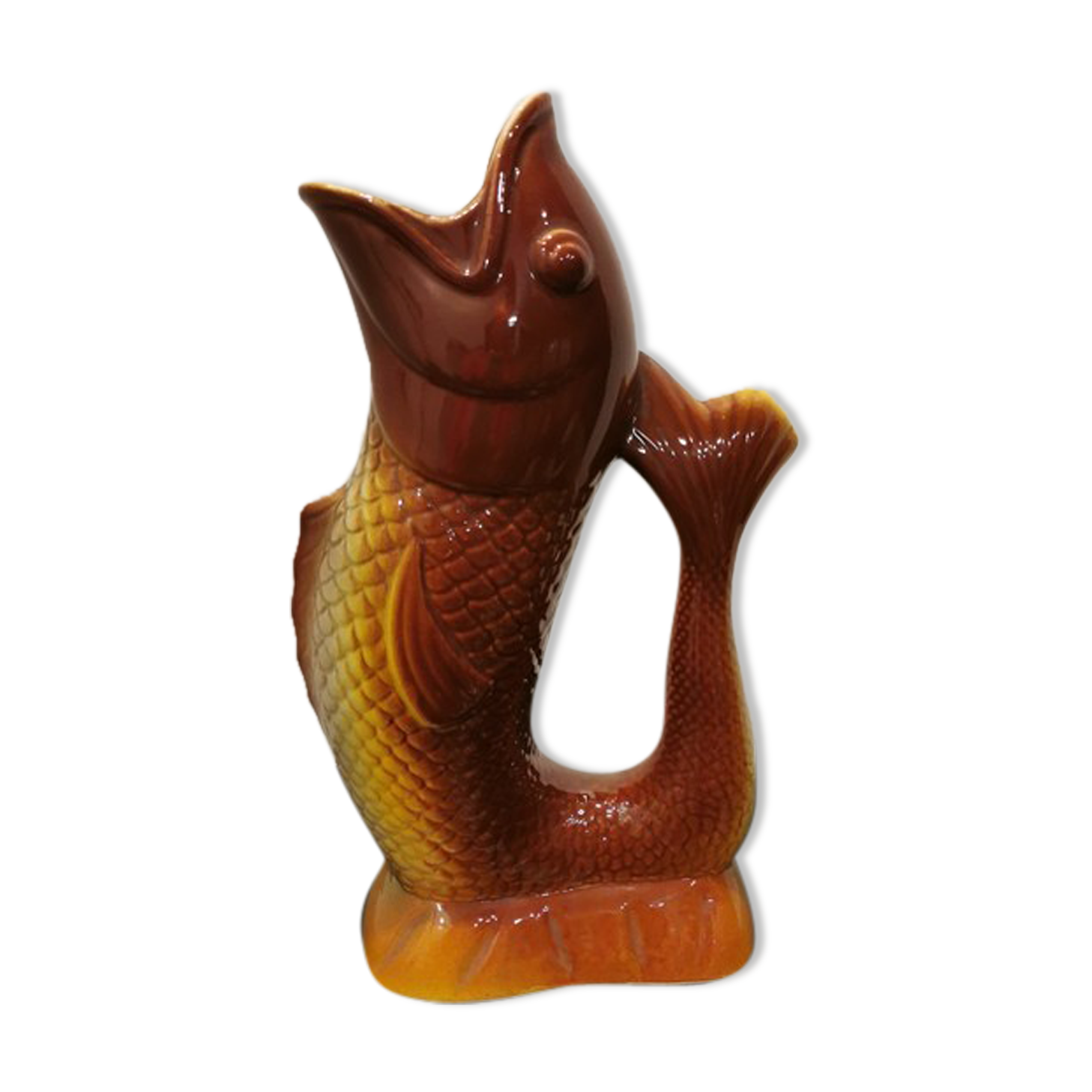 Pitcher fish Saint Clement