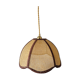 Rattan flower suspension