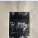 Georges lefebvre, reflections, black and white photograph, circa 1930. signed in ink