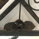 Coat holder