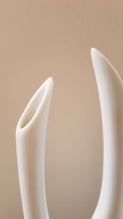 Very Rare • Vintage Vase • Charleston • Vladimír Tichý • Royal Dux • 1960