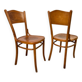 Bentwood dining chairs by Thonet