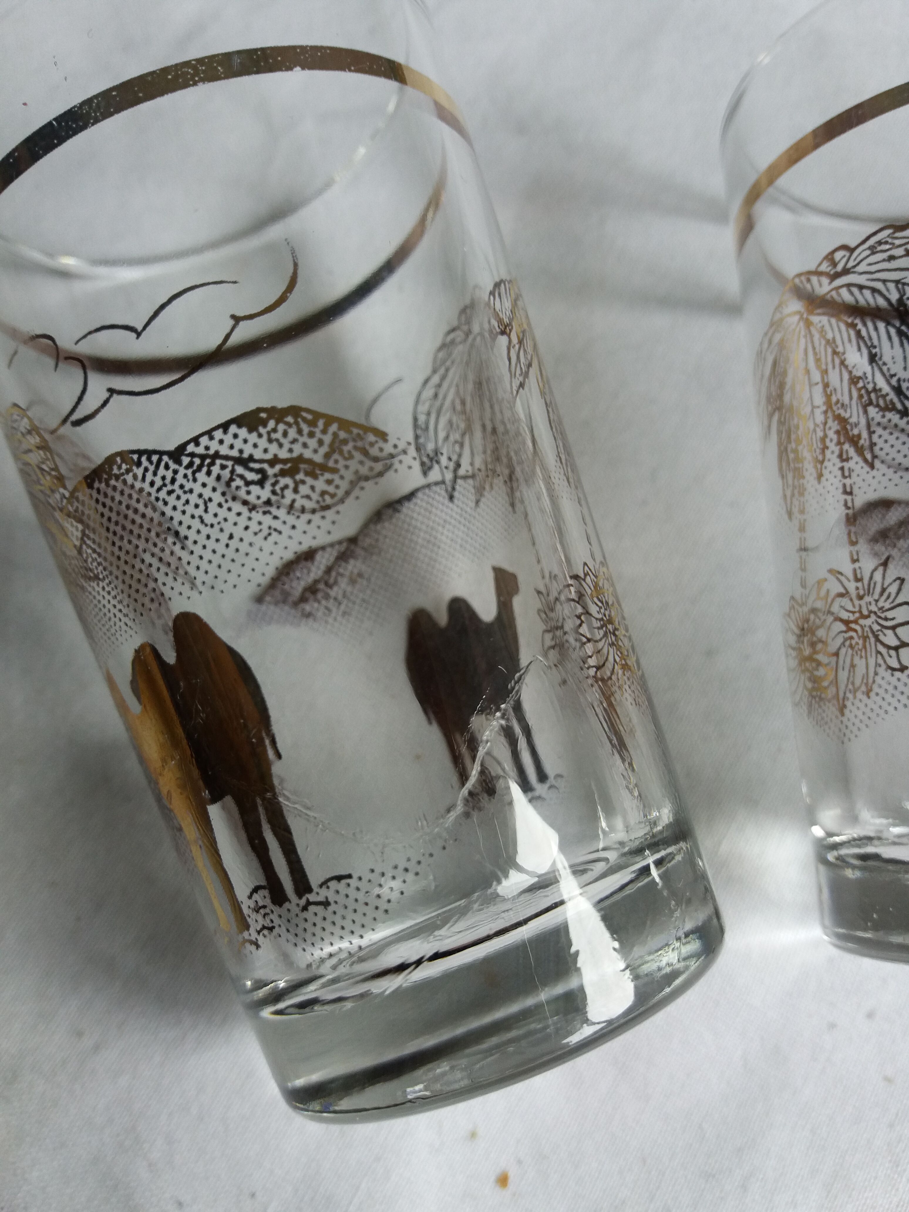 6 tea glasses golden décor camel palm