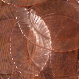 Lot 11 flat plates Rosaline Arcoroc