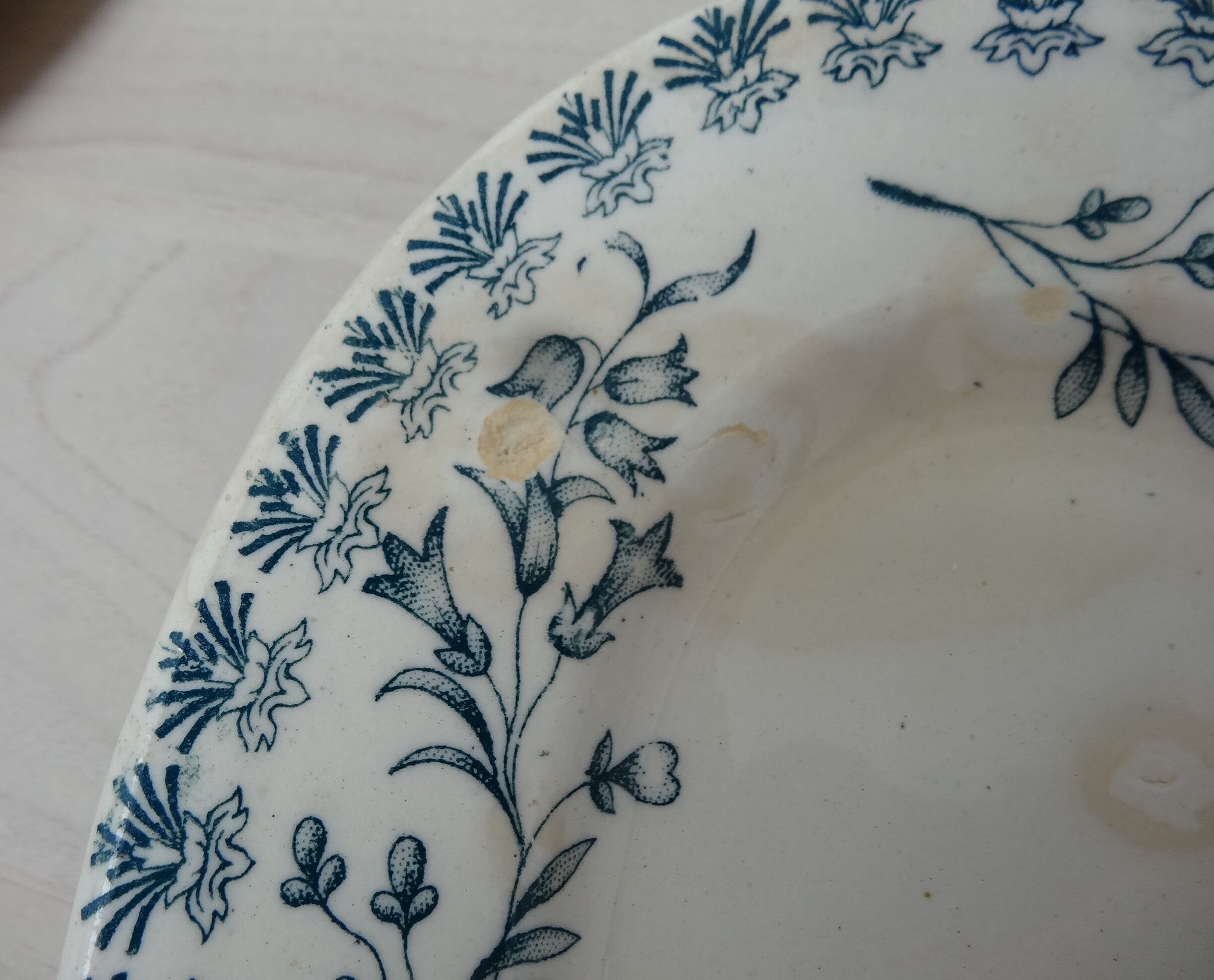 Oval flat campanula pattern