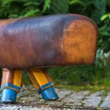 Gymnastic Leather Pommel Horse Bench with Wooden Handles, 1920s