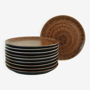 Set of 10 brown ceramic dinner plates