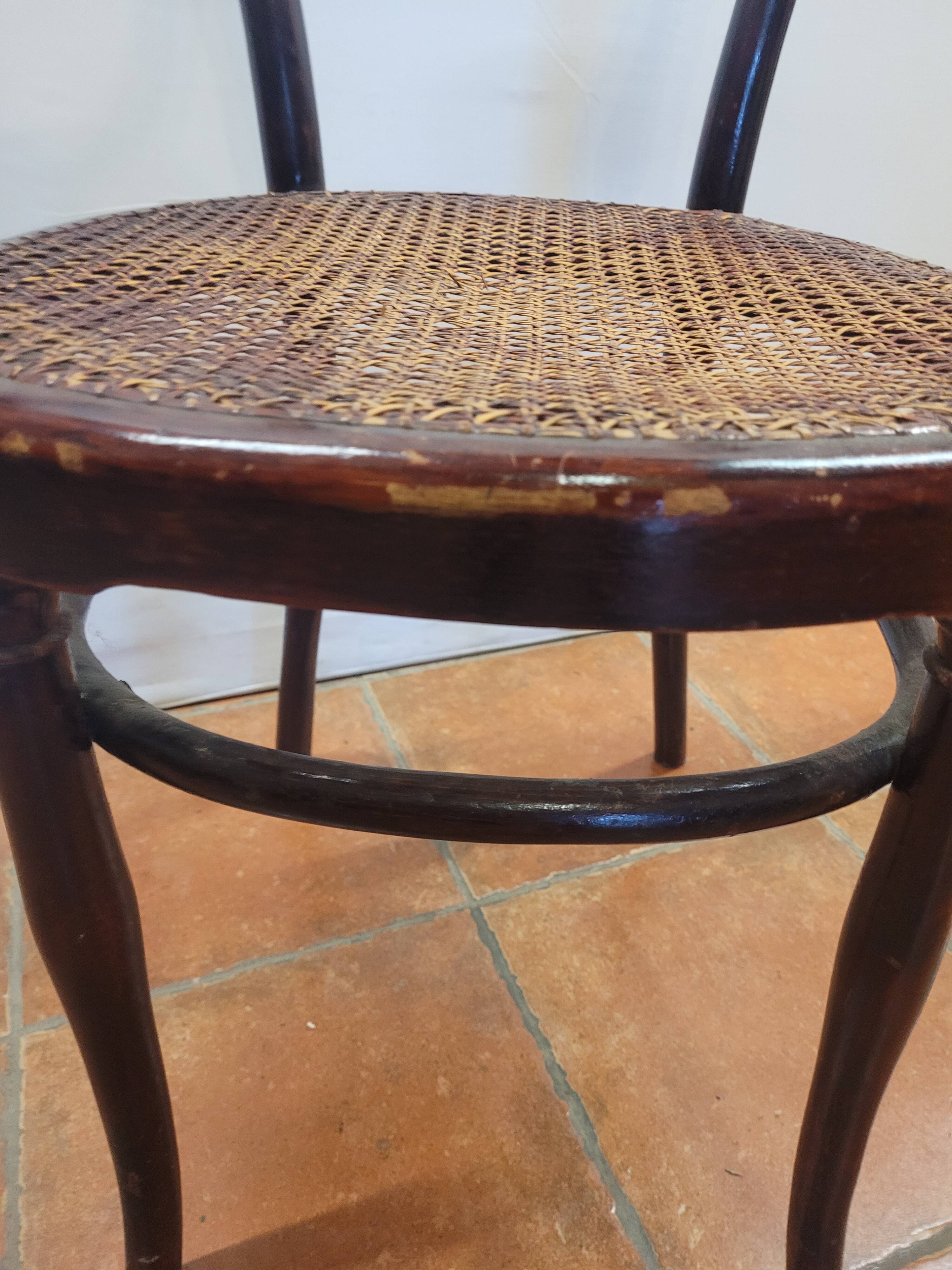 Hoffman bistro armchair in curved wood