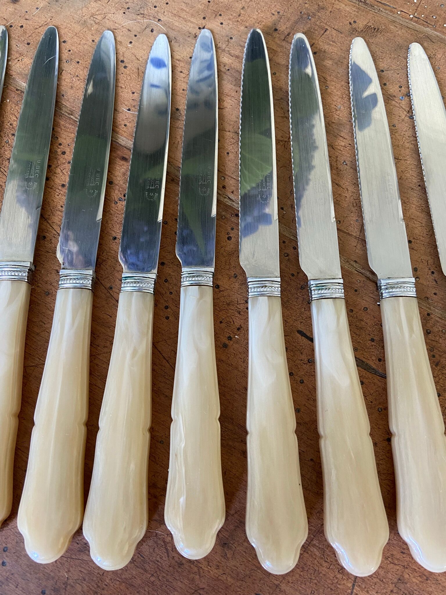 Series of 12 vintage table knives