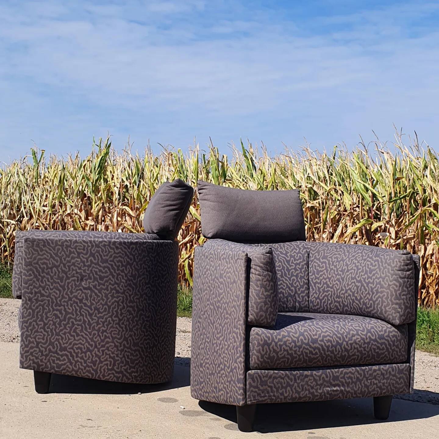 Set 2 - Design français Carina Cinna Ligne Roset