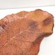 Fruit dish or cup shaped leaf terracotta