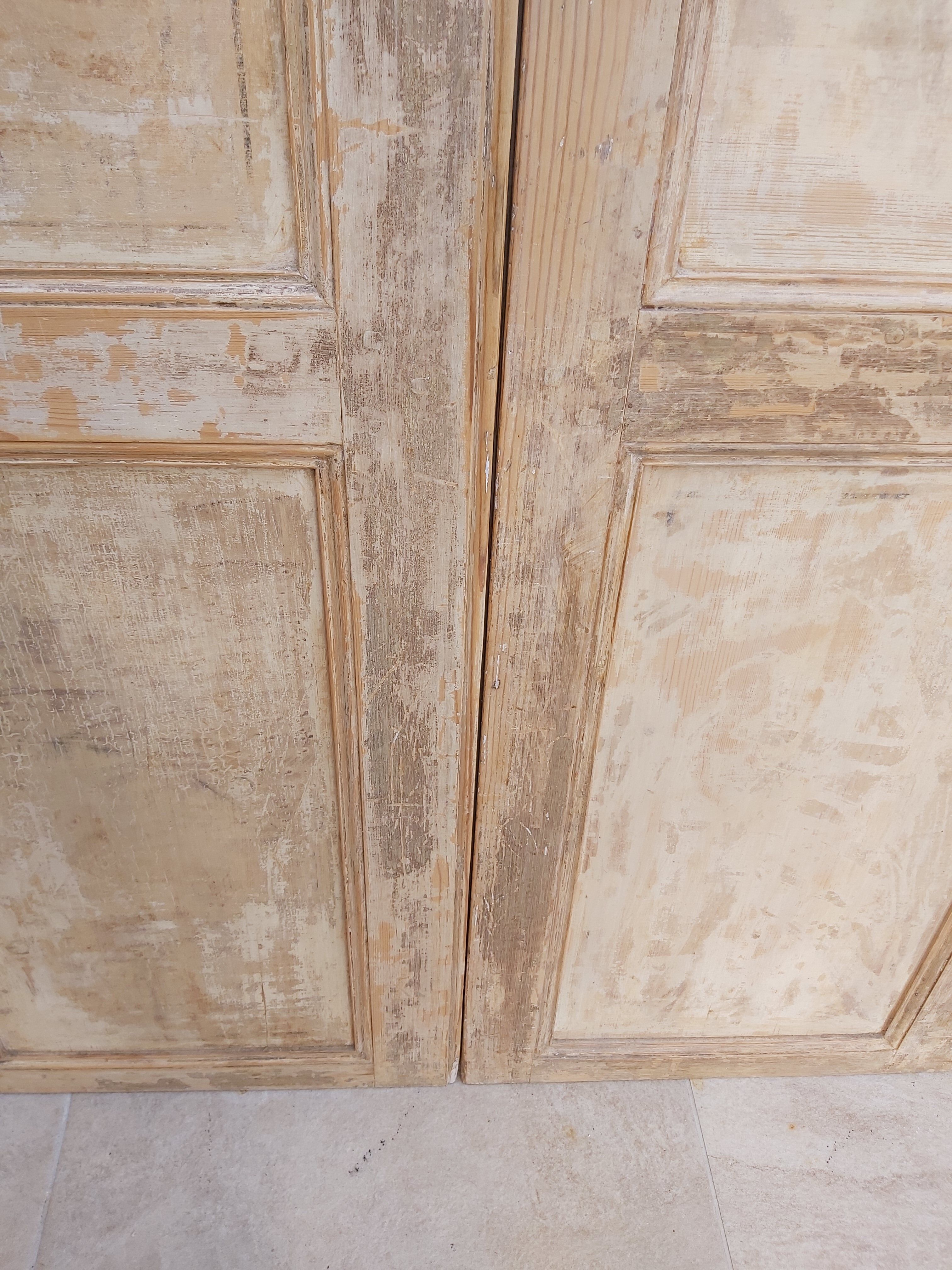 Pair of 18th century doors