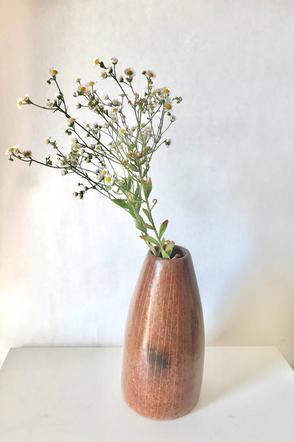 Large terracotta vase