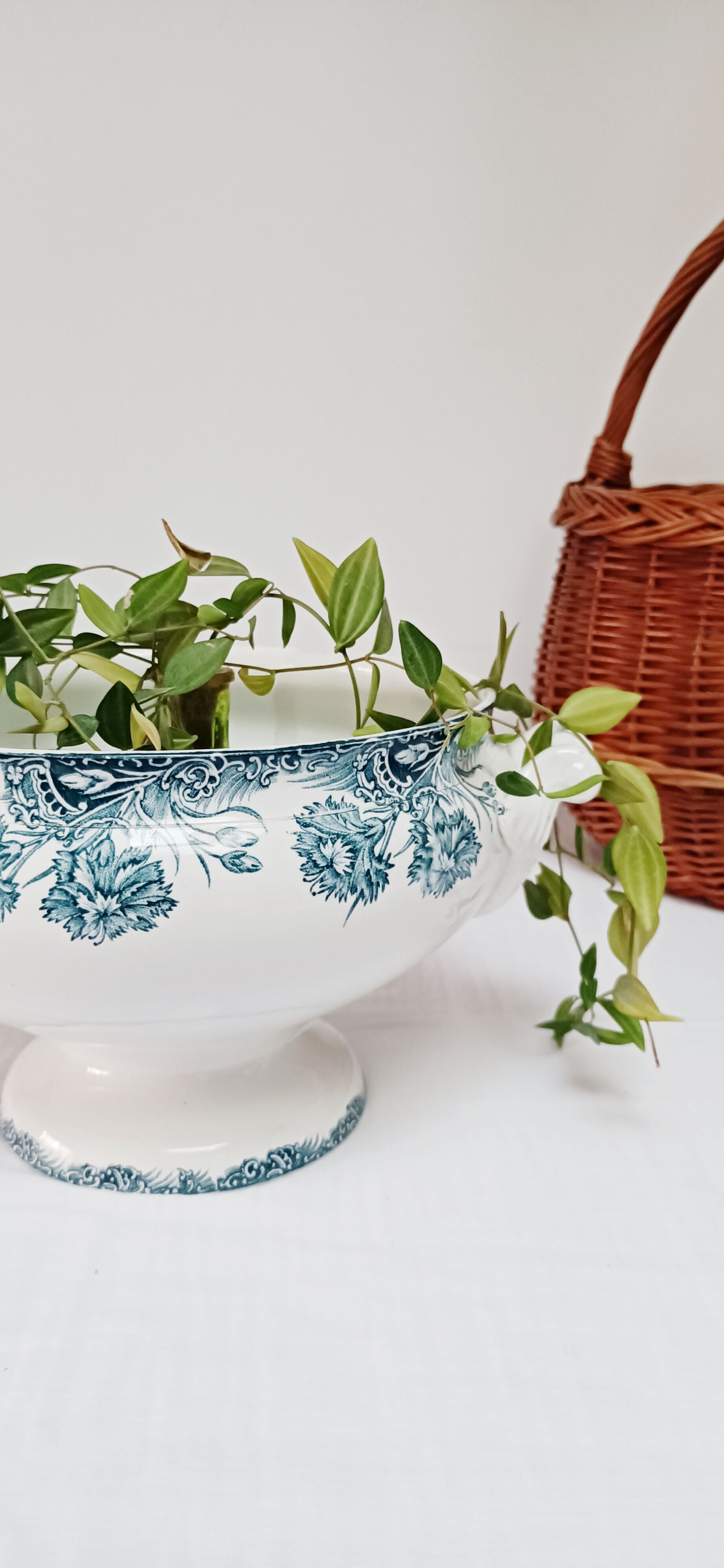 Iron earth soup tureen Saint-Amand, Carnations
