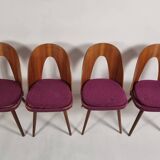 Vintage chairs by Antonin Suman from the 1960s, Set of 4