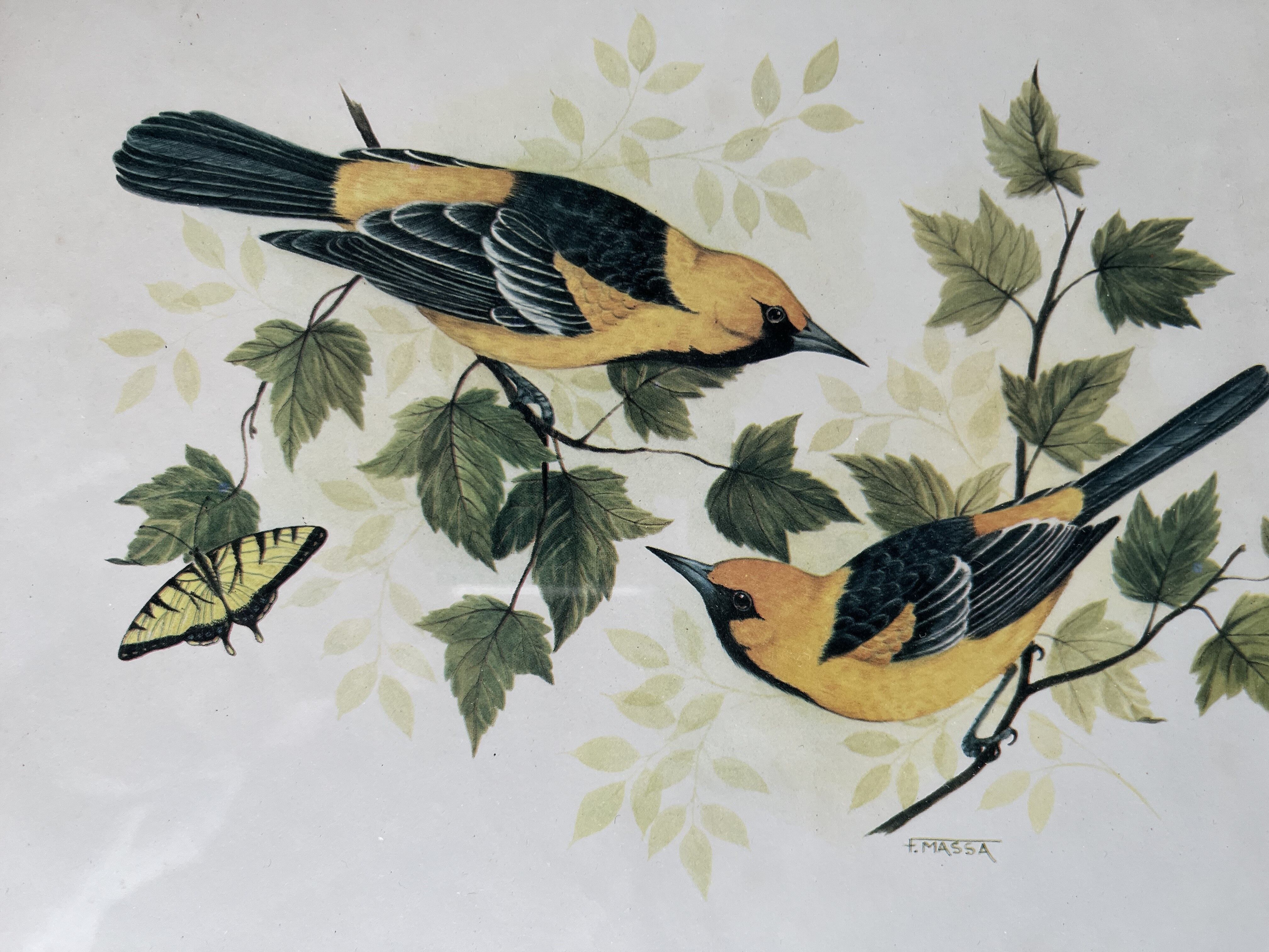 Table: Antique engraving by F Massa