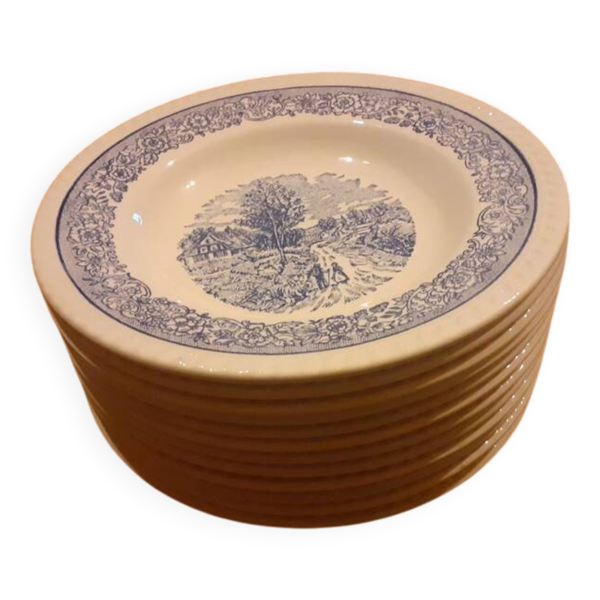 Set of 6 vintage English style soup plates