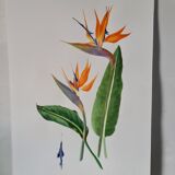 Botanical board, hand painted