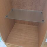 Secretary argus habitat