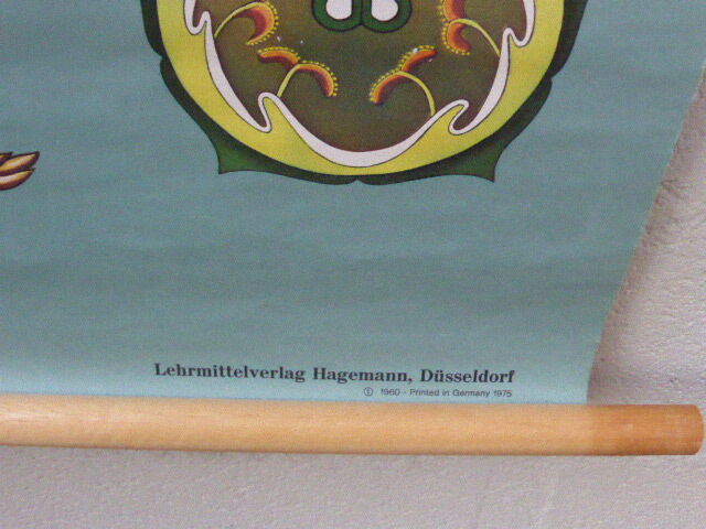Botanical poster plant medicinal by Jung-Koch-Quentell, created in 1960, collector and vintage linen