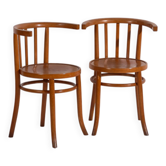 Antique bentwood chairs with carved seats (c. 1920). Set of 4 #1