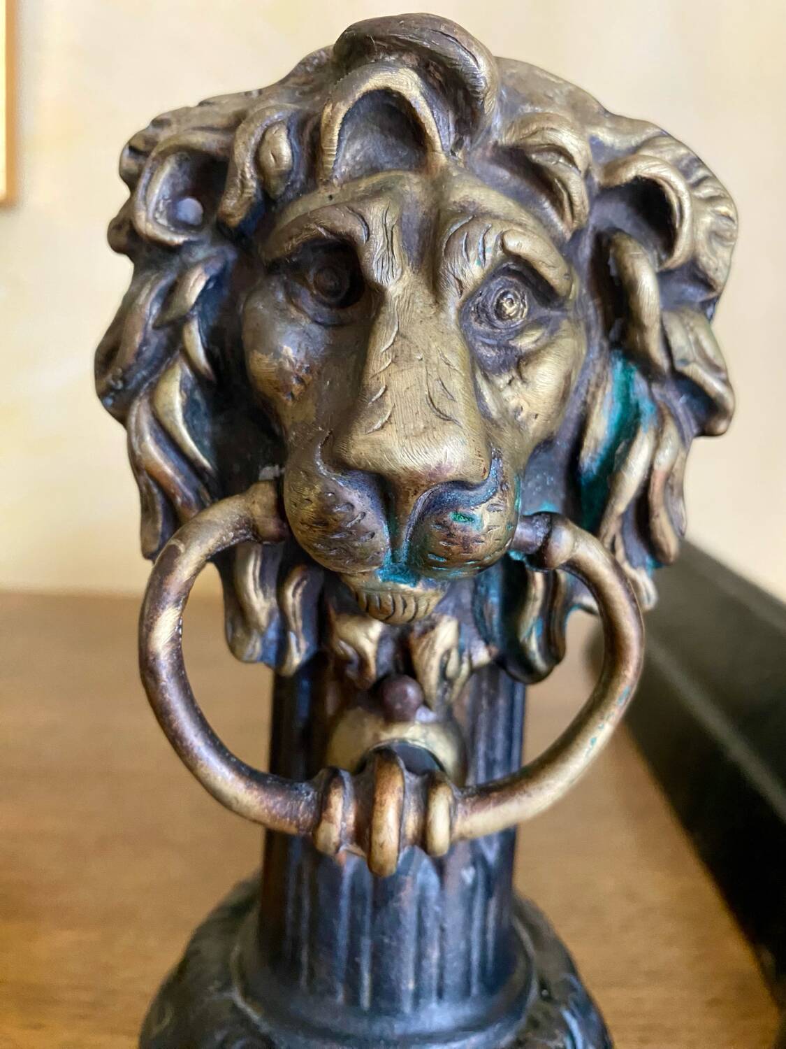 Pair of antique fire dogs with lion heads - patinated cast iron