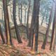 The moors, gde oil on canvas yolande dupertout 1919-1988