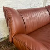 “Tango” sofa by Jan Armgardt for Leolux